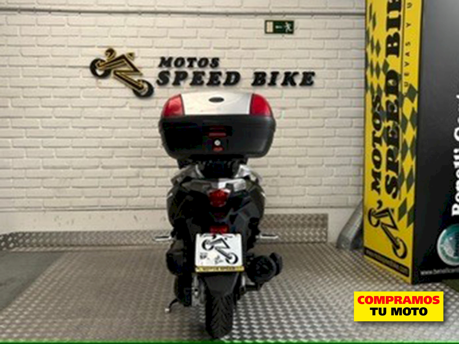Miniatura 11