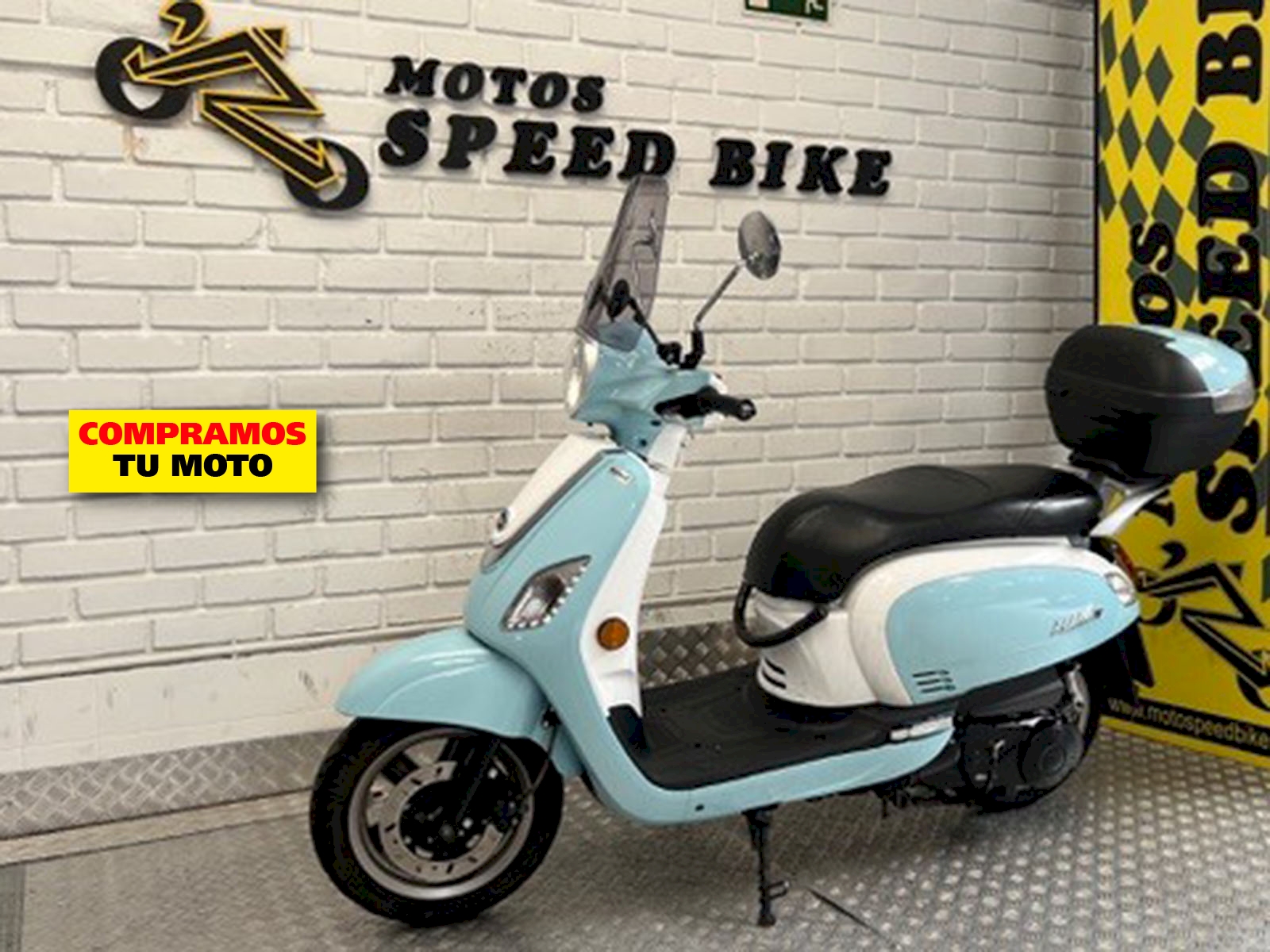 Miniatura 12