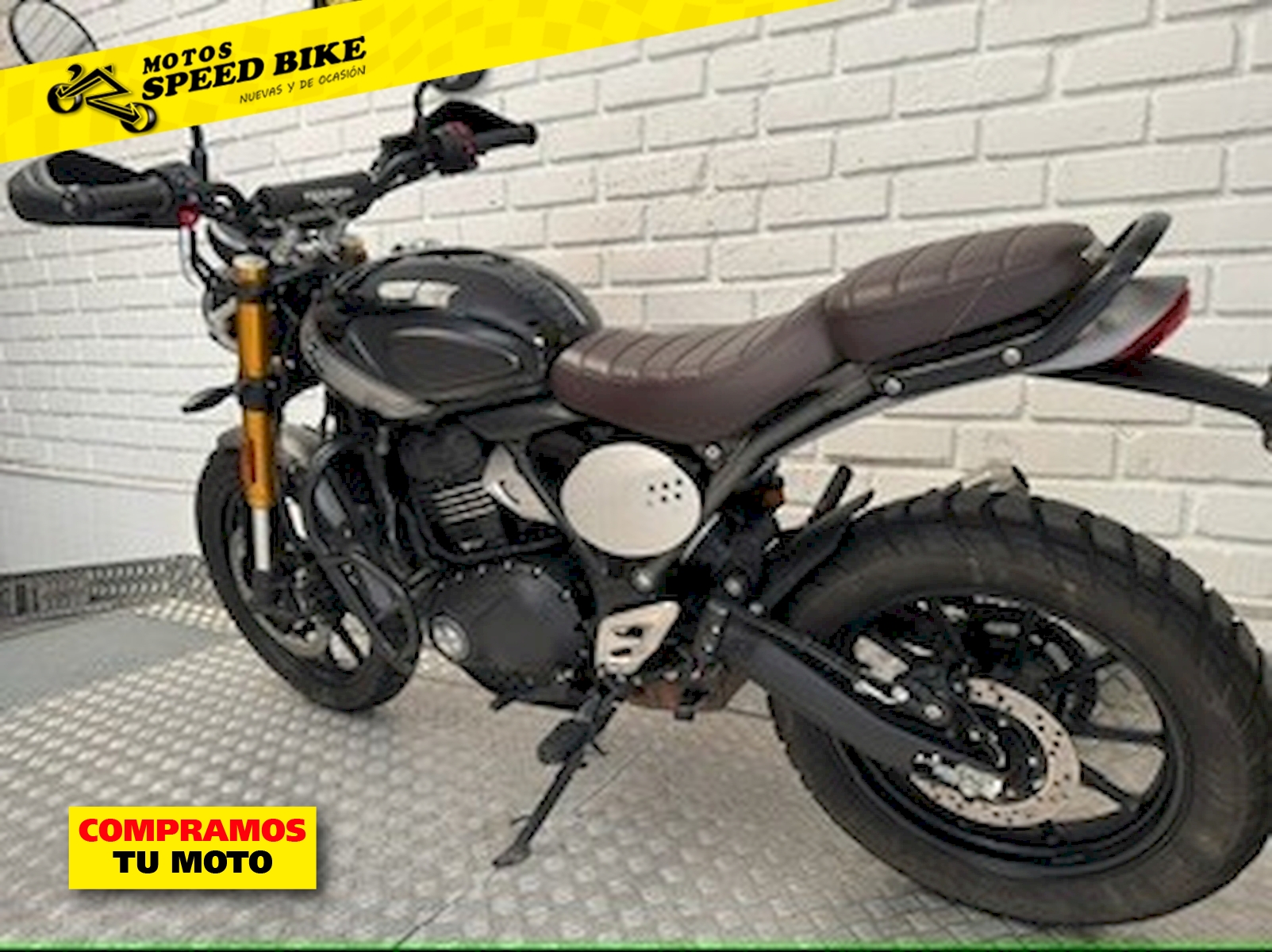 Miniatura 11