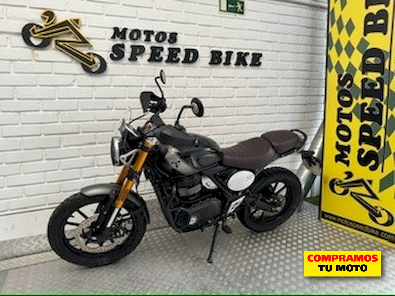 Miniatura 12