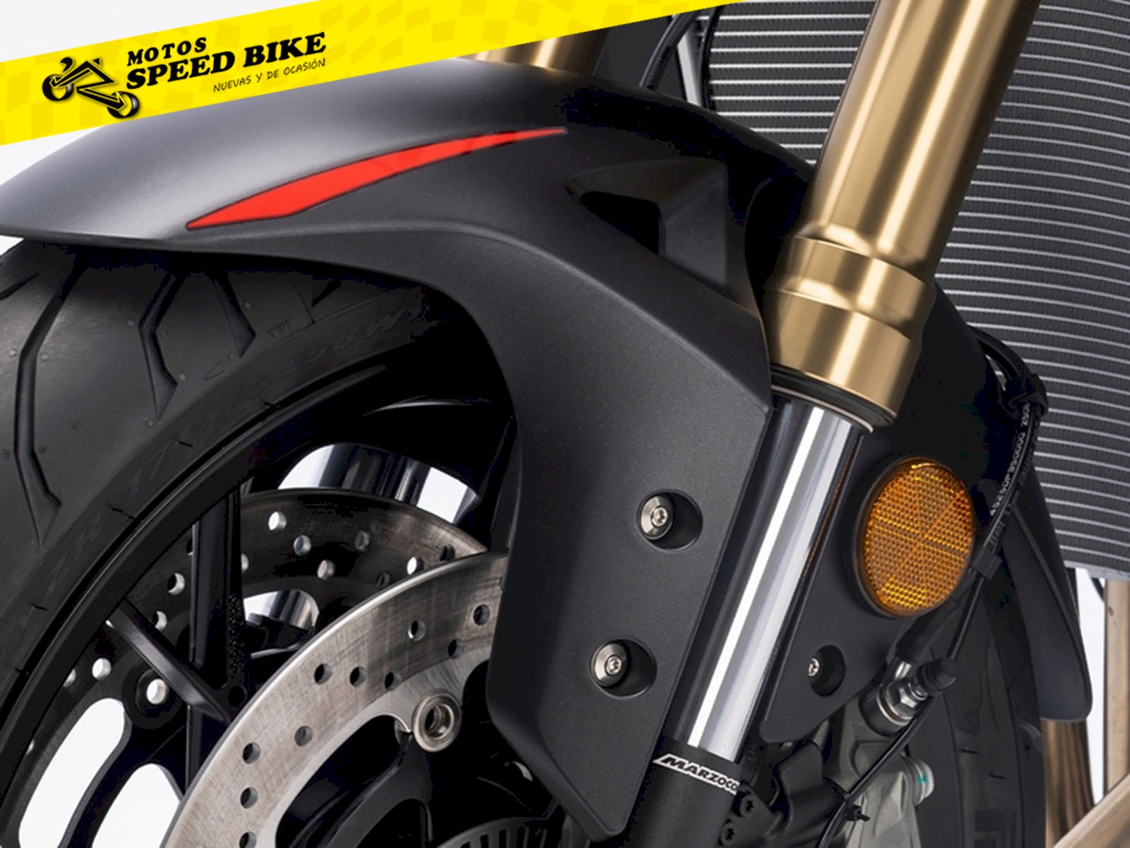 QJ Motor SRK 800 en Madrid - imagen 8