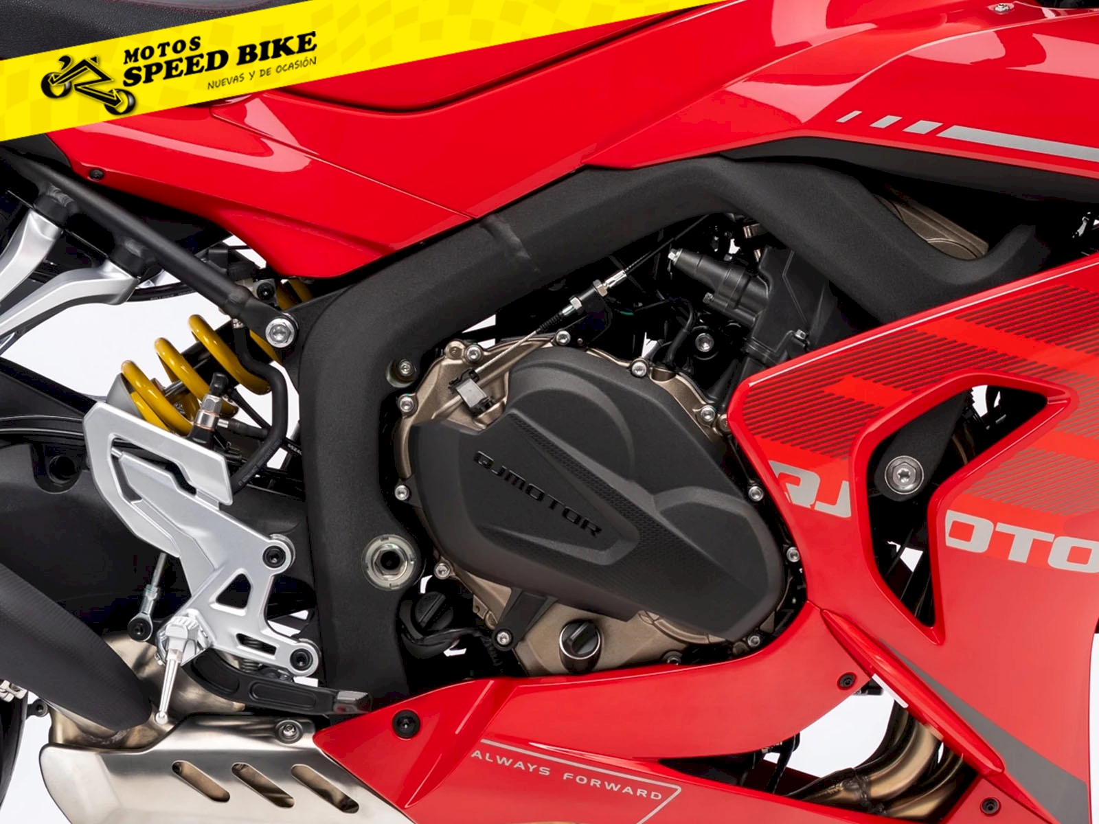 QJ Motor SRK 800RR en Madrid - imagen 7