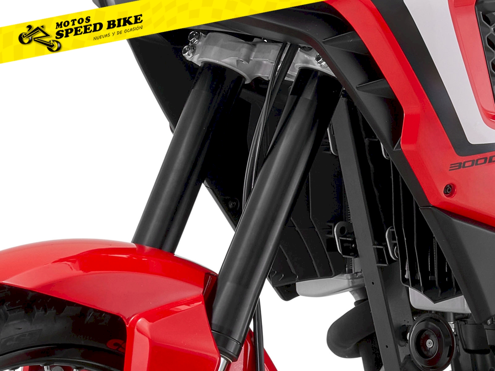 QJ Motor SRT 300DX en Madrid - imagen 8