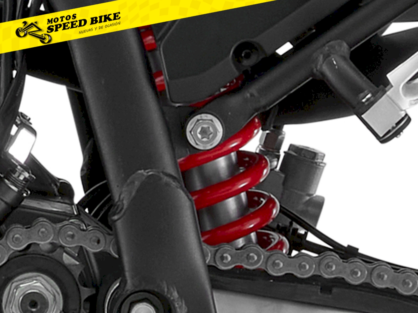 QJ Motor SRT 300DX en Madrid - imagen 10
