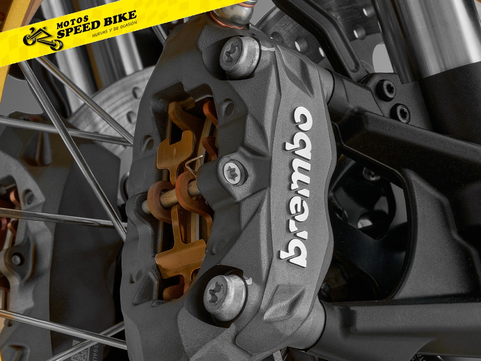 QJ Motor SRT 900 SX - miniatura 5