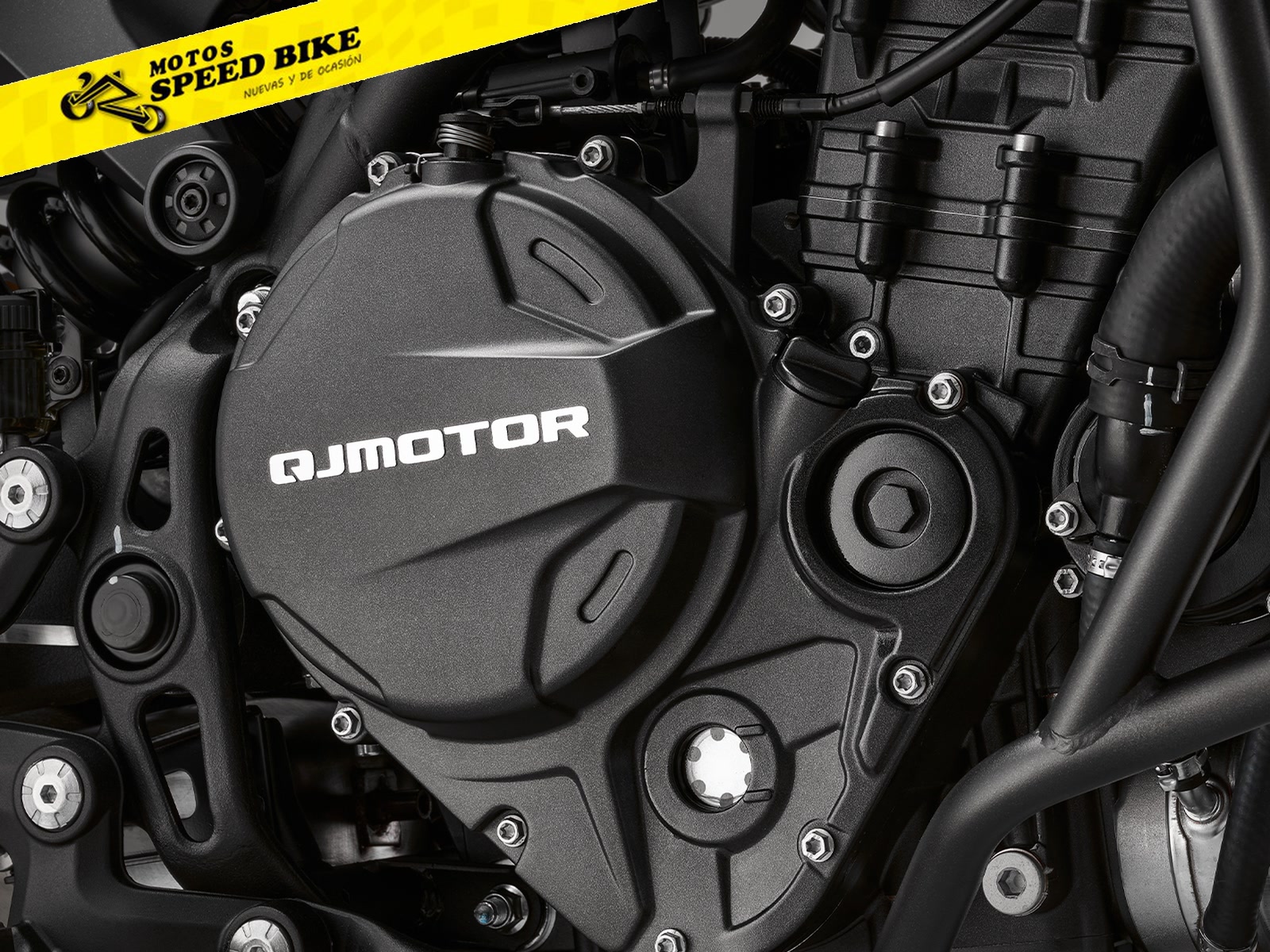 QJ Motor SRT 900 SX - miniatura 9