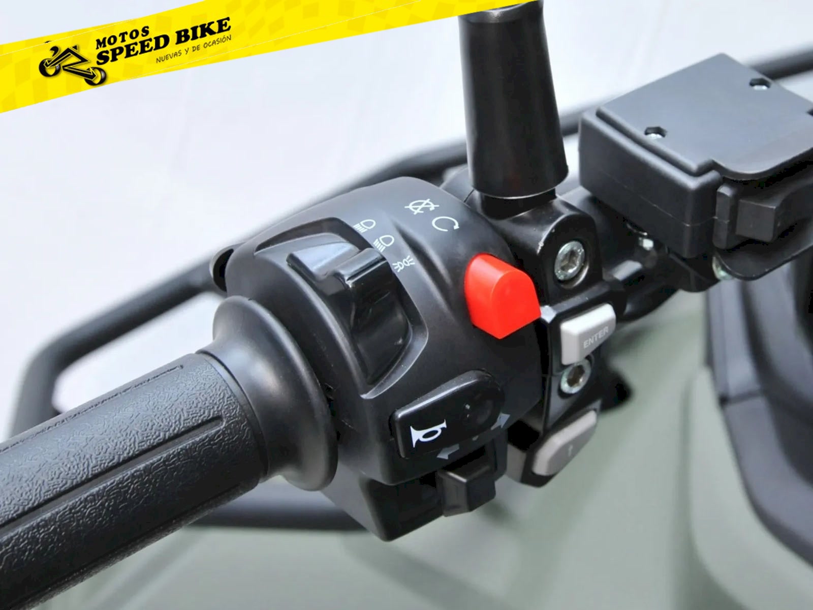 QJ Motor SFA 300 STANDARD - miniatura 8