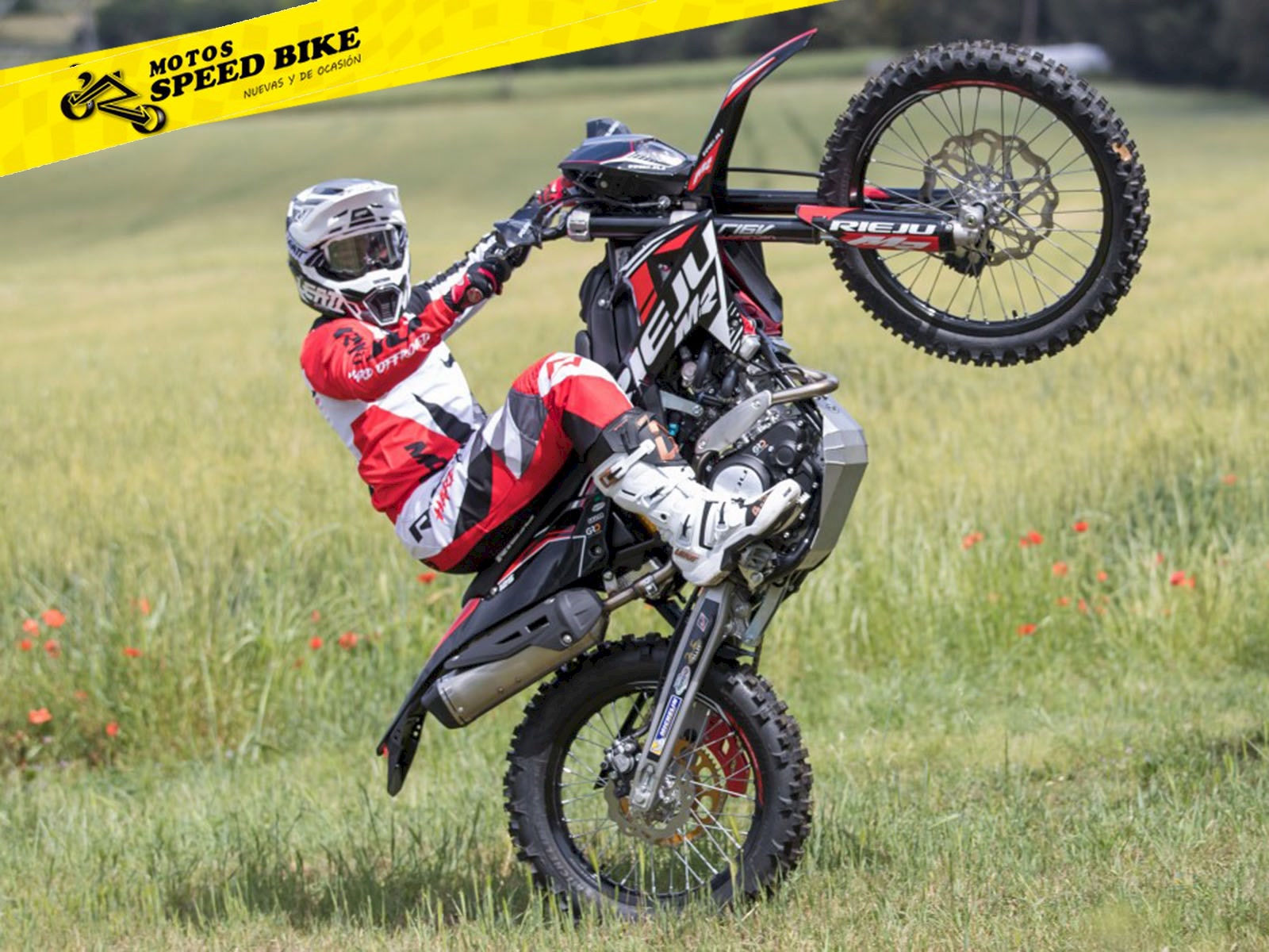 Rieju MR Pro 125 - miniatura 9
